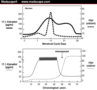 fsh levels estrogen lifetime hormone estradiol postmenopausal perimenopause addressing deficiency